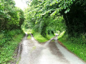 fork in the road